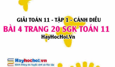 Giải bài 4 trang 20 Toán 11 tập 1 SGK Cánh Diều